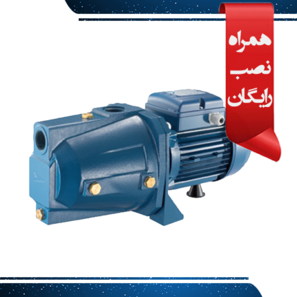 راهنمای انتخاب پمپ آب برای روف گاردن و آبیاری قطرهای پمپ یک اسب جتی پنتاکس CAM100 ( با نصب رایگان در تهران )